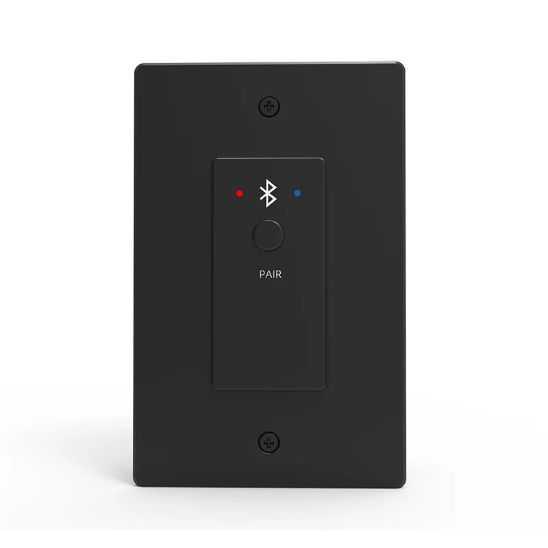 2CH Bluetooth Dante Panel